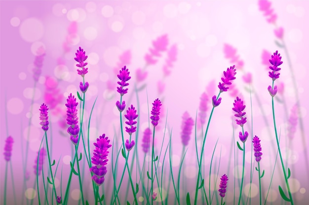 Realistic blurred spring background