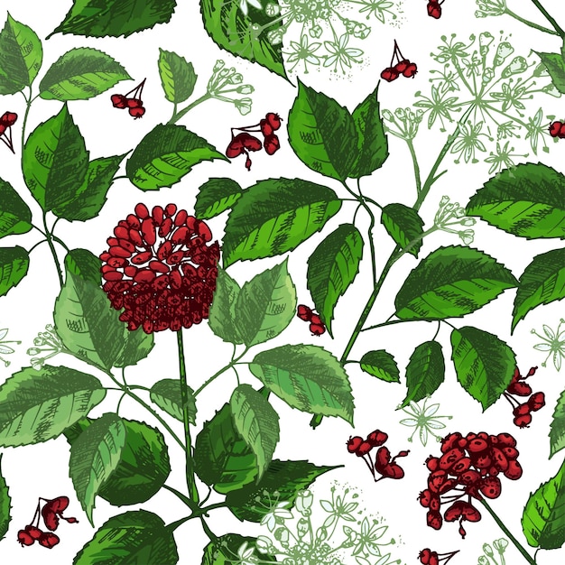 Vector realistic botanical ink sketch seamless color pattern with ginseng root flowers and berries isolated on white floral herbs collection traditional chinese medicine plant