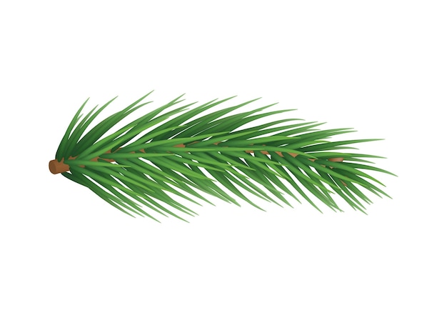 Realistic branch of christmas tree isolated on white background Green spruce tree branch vector illustration Evergreen bushy plant detailed 3d element Merry Christmas and Happy New Year decoration