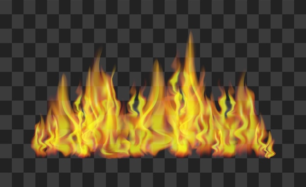 Realistic Bright Fire Flames Line on Transparent Background Light Effect for Design. Vector illustration