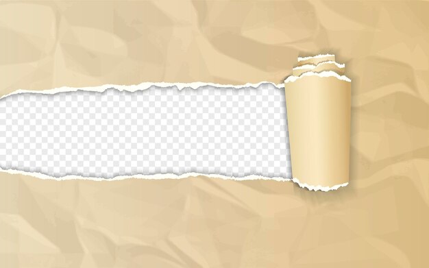 Vector realistic brown crumpled paper with rolled edge on transparent background