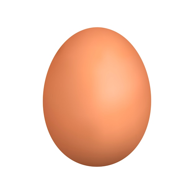 Realistic brown egg. isolated egg