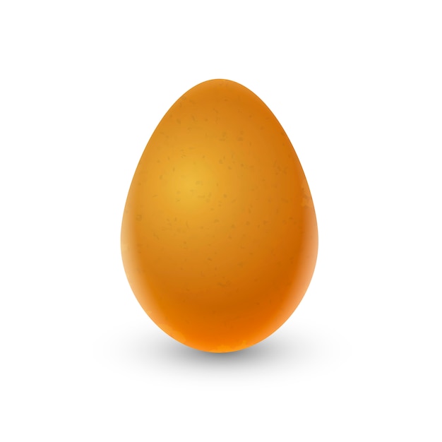 Вектор Реалистичное коричневое яйцо на белом