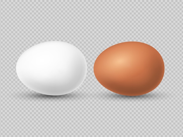 Realistic brown and white chicken eggs  illustration