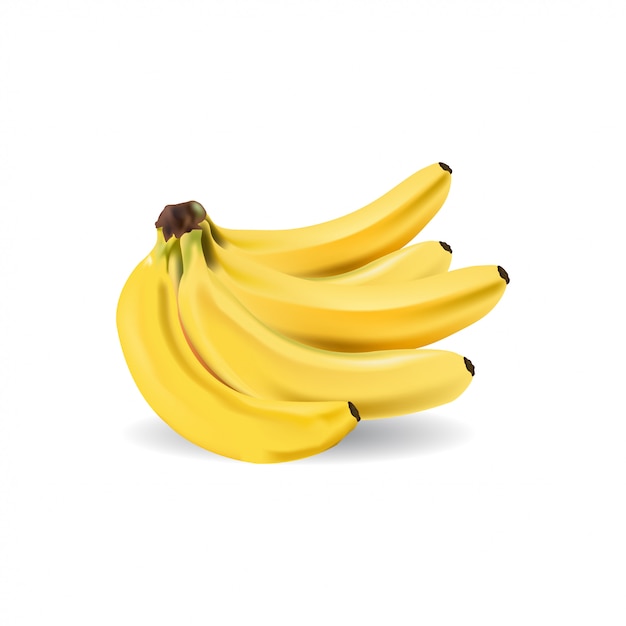 Realistic bunch of banana vector