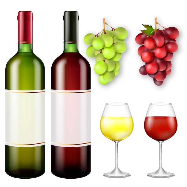 Realistic bunches of grapes and bottles of wine