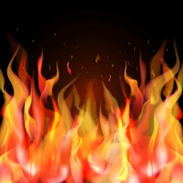 Realistic burn flame Vector