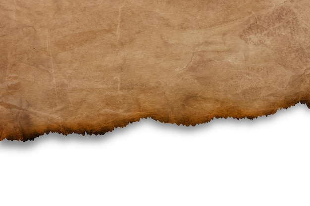 Vector realistic burned paper texture