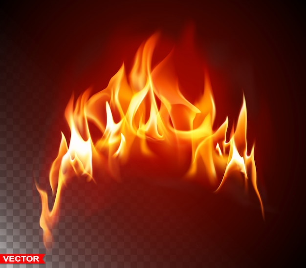 Vector realistic burning fire flame bright element