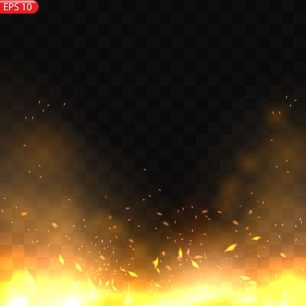 Realistic burning fire flames   effect with transparency  