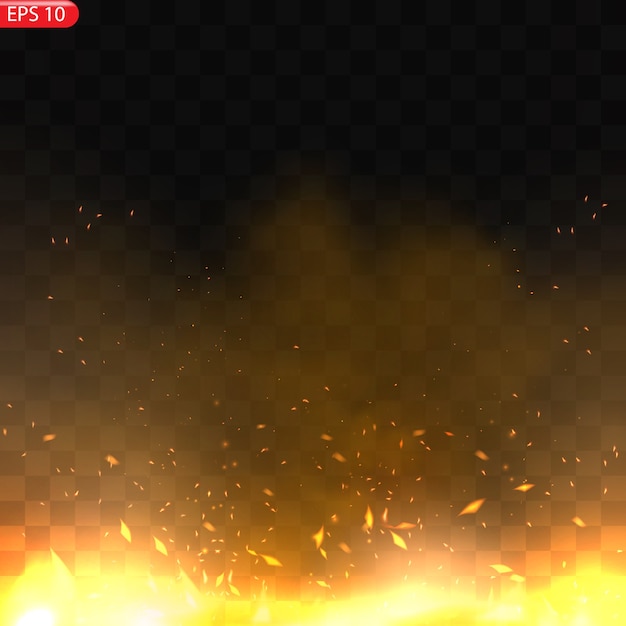 Realistic burning fire flames   effect with transparency