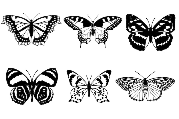 Realistic butterfly collection black colour butterflise on white background vector illustration