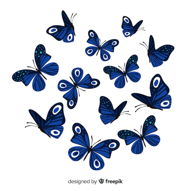 Vector realistic butterfly collection