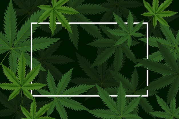 Realistic cannabis leaf background