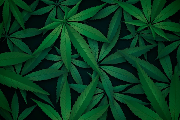 Realistic cannabis leaf background