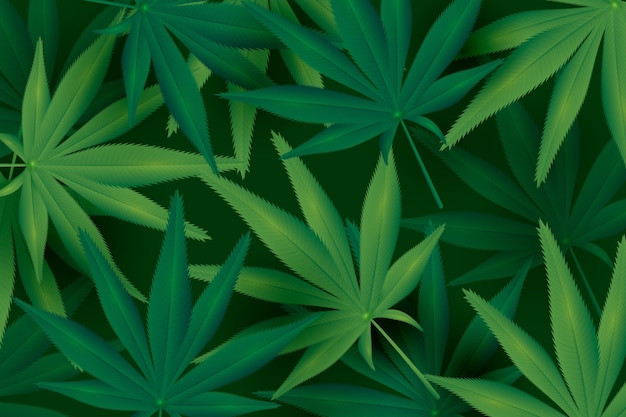 Realistic cannabis leaf background