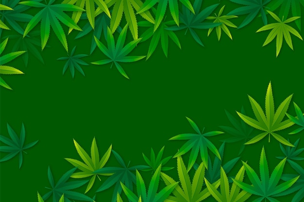 Vector realistic cannabis leaf background