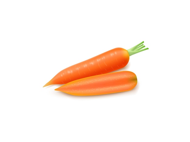 Realistic Carrot Isolated on White Background Fresh Carrot for Food Nutrition and Healthy