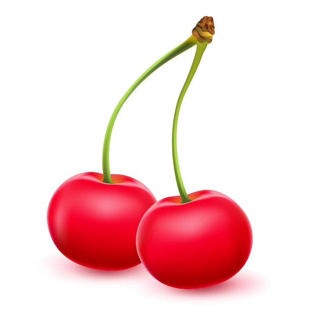 Realistic  cherries illustration.