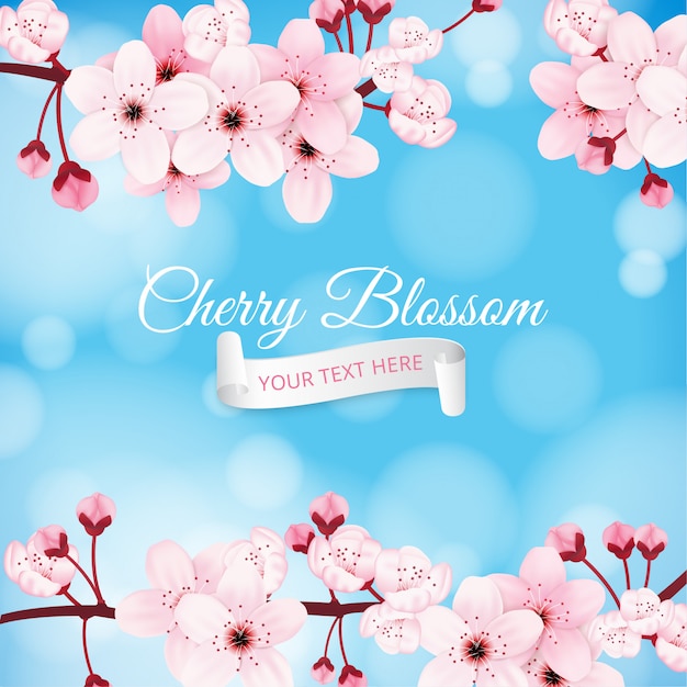 Vector realistic cherry blossom background