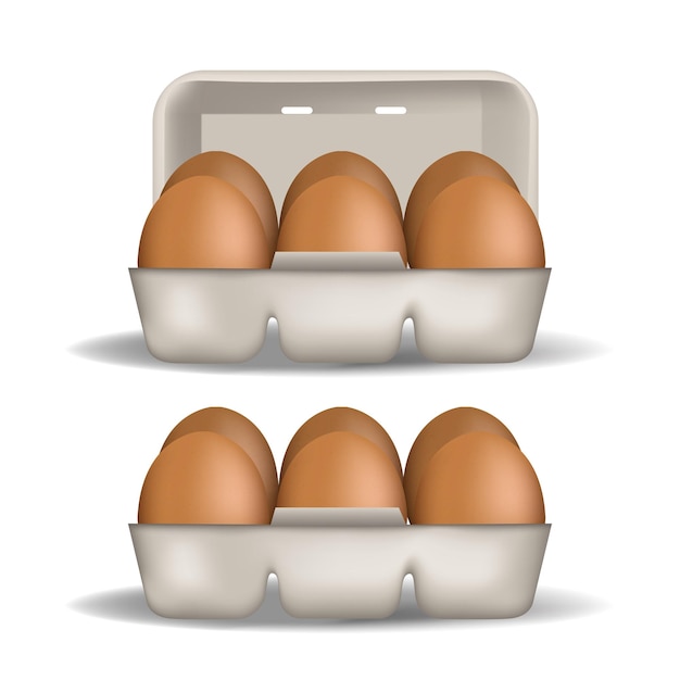 realistic chicken egg set brown and white eggs isolated vector mockup easter concept vector 3d