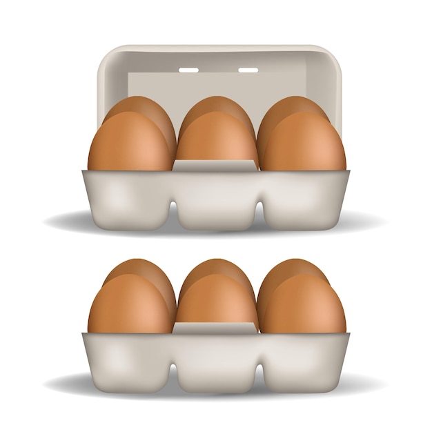 Realistic chicken egg set brown and white eggs isolated vector mockup easter concept vector 3d