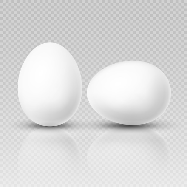 Vector realistic chicken egg. template for easter decoration.