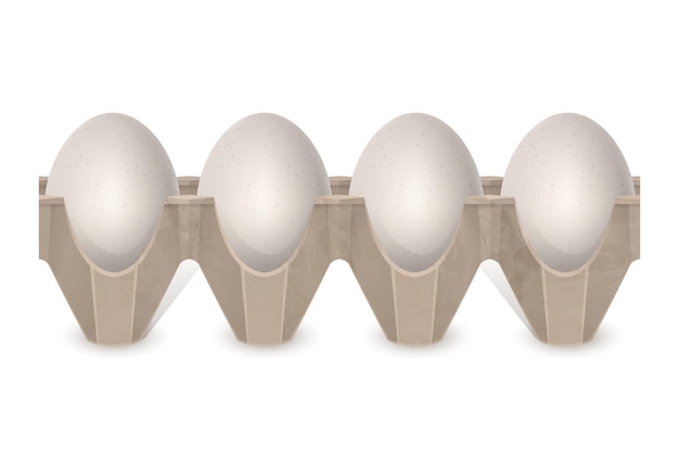 Vector realistic chicken eggs in carton egg box isolated