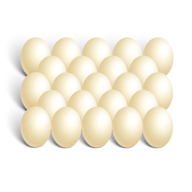 Realistic chicken eggs on white background vector illustration