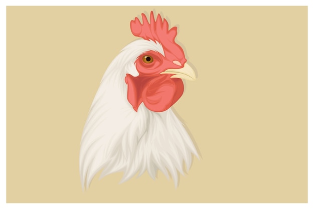 Vector realistic chicken illustration