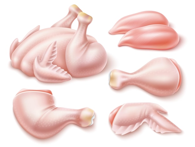Вектор Реалистичное куриное мясо сырая индейка целая трупа птицы и отдельные части груди и тазобедренной кости необработанные бедра и крылья белковая еда барбекю и гриль ингредиент выдержка векторный набор.