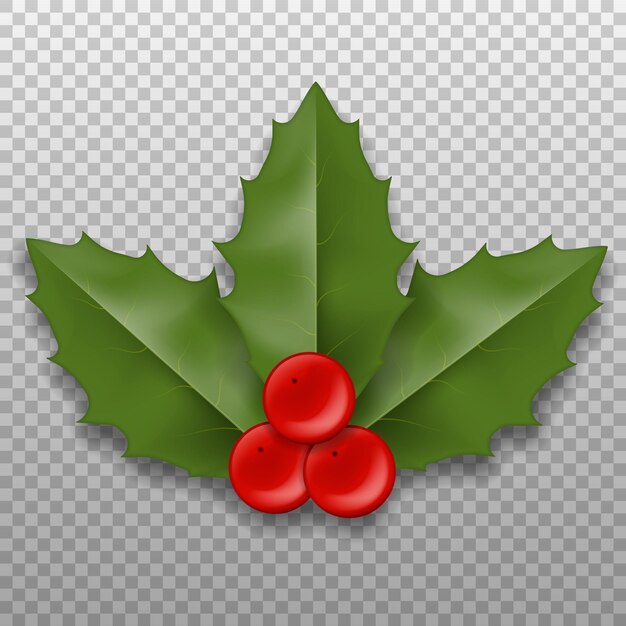 Vector realistic christmas holly berry leaves vector illustration