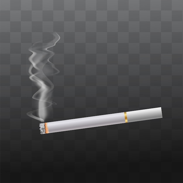 Realistic cigarette with ash white filter stages of burns isolated on transparent background