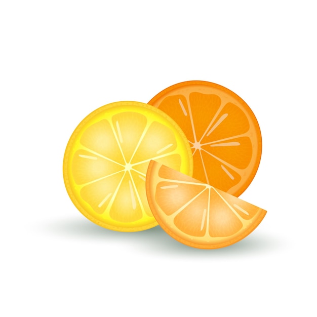 Vector realistic citrus slices on a white background