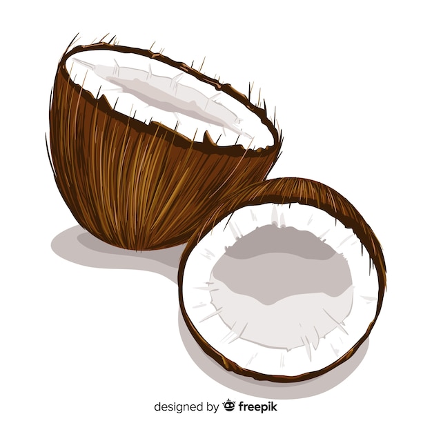 Realistic coconut background