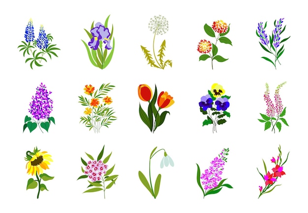 Realistic colored flat flowers Perfect for illustrations and nature education