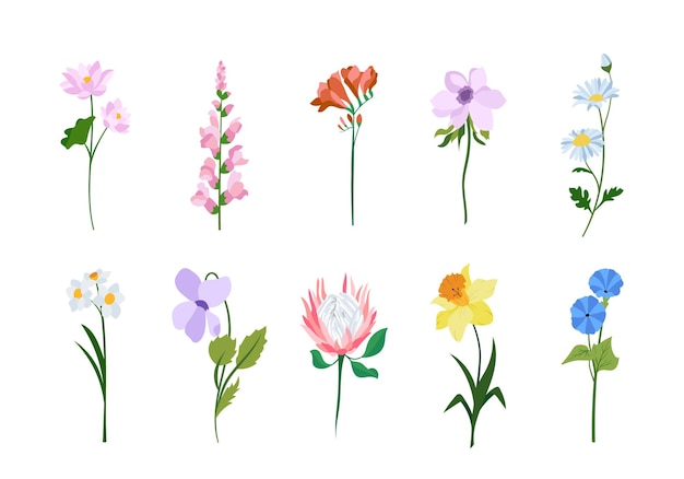 Realistic colorful flat flowers Perfect for illustrations and nature education