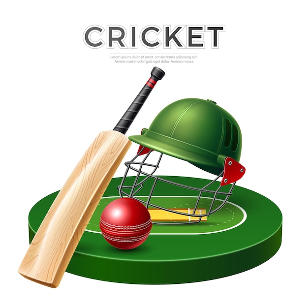 Vector realistic cricket bat leather ball and helmet on playground vector