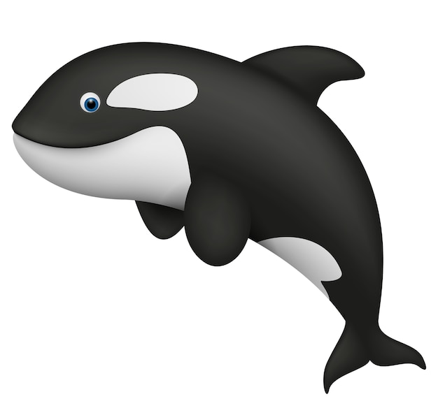 Realistico carino killer whale