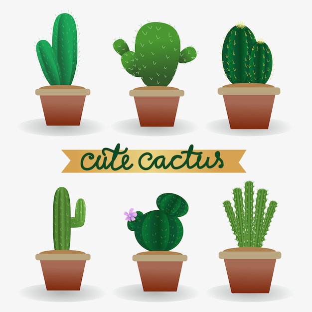 Realistic cute vector cactus plant in pot collection