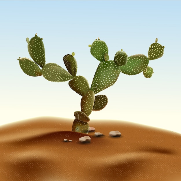 Realistic desert cactus prickly pear. opuntia plant of desert among sand and rocks in habitat.