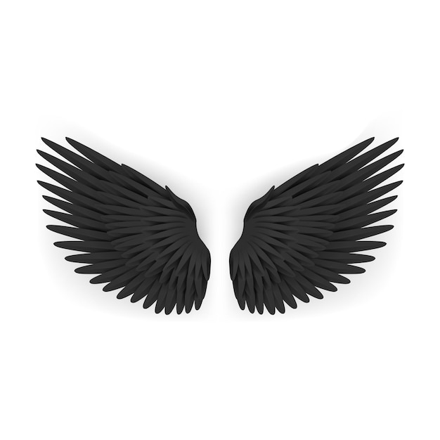 realistic detailed 3d black blank wings template mockup vector