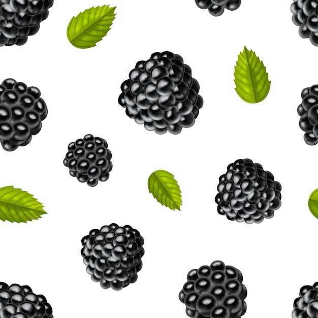 Vector realistic detailed 3d blackberries with green leaves natural fresh sweet seamless pattern background on a white vector illustration of ripe blackberry