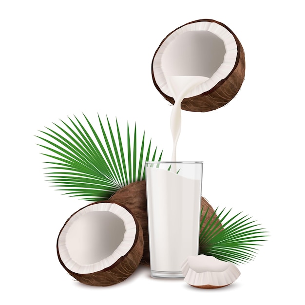 realistic detailed 3d coco nut and coconut milk glass vector