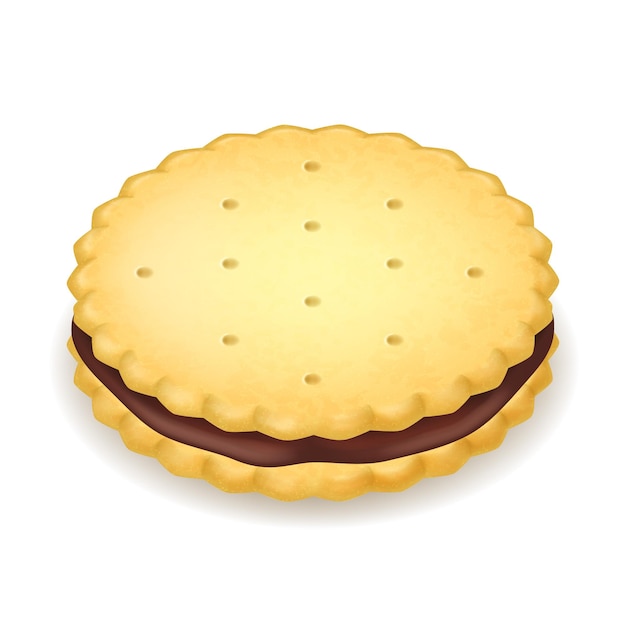Vector realistic detailed 3d cookie or sandwich biscuit vector