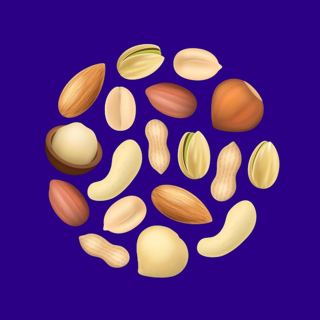 Realistic Detailed 3d Different Types Nuts Round Design Template Vector