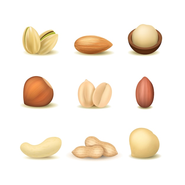 Realistic detailed 3d different types nuts set include of peanut hazelnut almond cashew and pistachio vector illustration