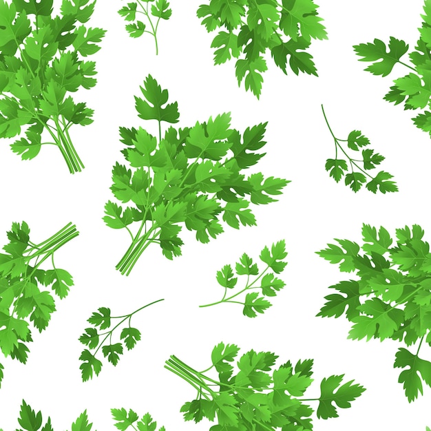 Vector realistic detailed 3d green raw parsley seamless pattern background spice ingredient for healthy food or salad vector illustration of herb branch condiment