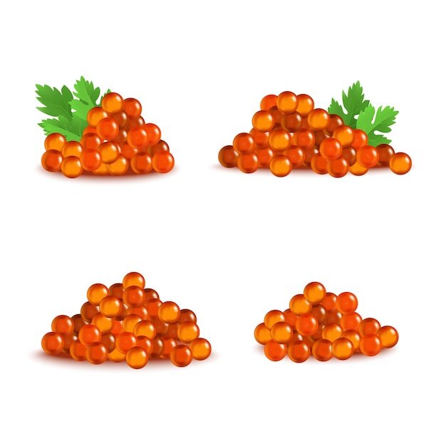 Realistic Detailed 3d Red Caviar Different Types Set Appetizer Seafood Healthy Luxury Delicacy Russian Caviare Vector illustration of Fish Roe