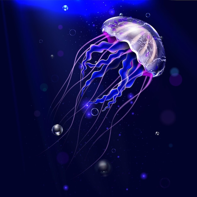 リアルな詳細な3D透明の水母 ウォーターベクトル